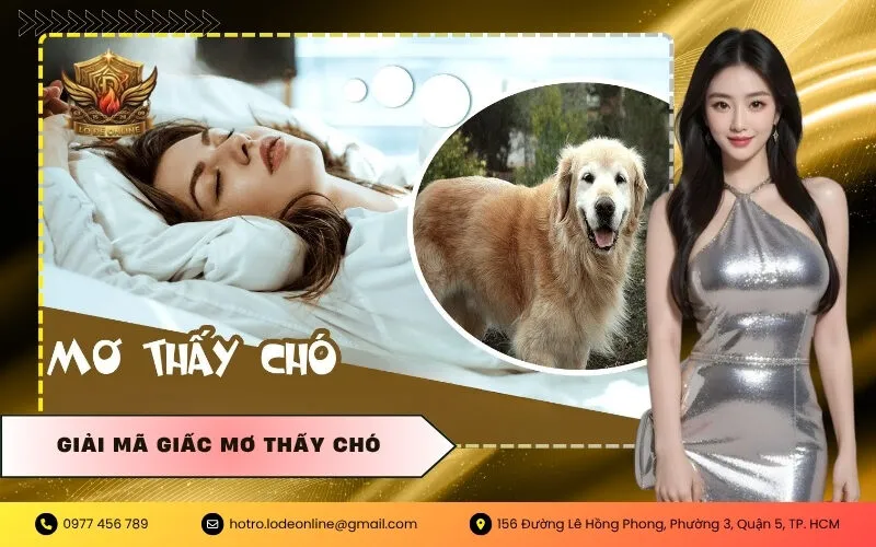 Giải mã giấc mơ thấy chó