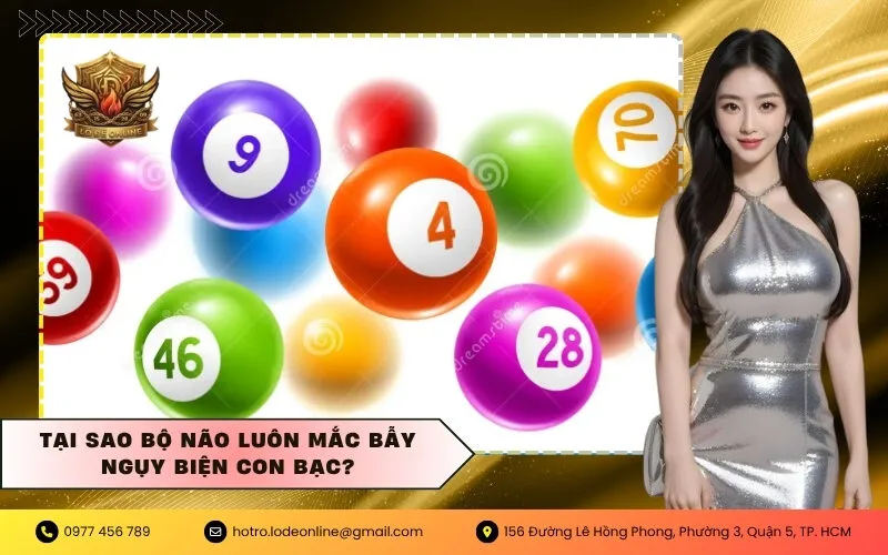 Tại sao bộ não luôn mắc bẫy ngụy biện con bạc?